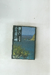 新しい小笠原の咄　