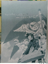 エターナルアルカディア豪華ビジュアルブック