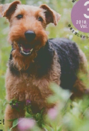 いぬのきもち　2018年3月号