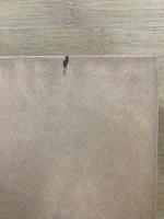 南条文雄自叙伝