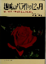 趣味のバラ作り 12ヵ月 はじめてバラを作る人のために