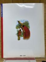 is　23号　特集「性」