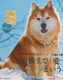 いぬのきもち2018年2月号