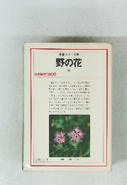 教養カラー文庫 野の花 秋　