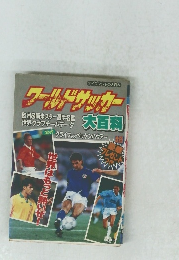 ワールドサッカー　大百科