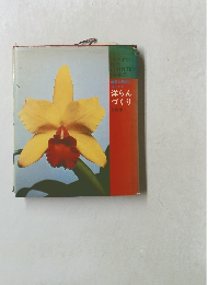 洋らんづくり　鑑賞と栽培のポイント