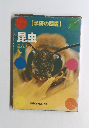 昆虫　 学研の図鑑