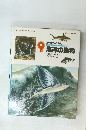 海洋の動物　9