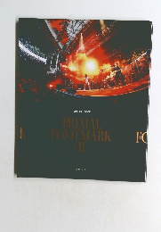 PRIMAL FOOT MARK II