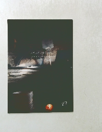 わざわざの働きかた