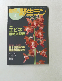 自然と野生ラン　２００５年4月号