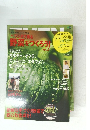 ベランダで実る 野菜をつくろう!　Vol.３