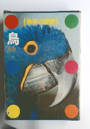 学研の図鑑　鳥