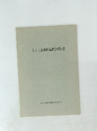 欠ノ上遺跡発掘調査報告書