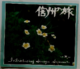 信州の旅　No.81 夏 92