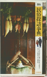 図説　民俗探訪事典