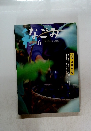 なごみ　和　1999年6月号