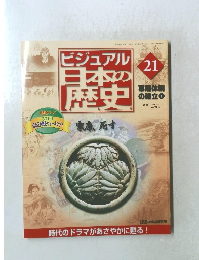 ビジュアル日本の歴史　　21　　/家康恋す