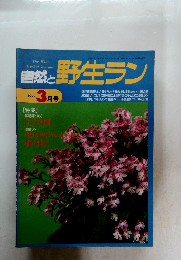 自然と野生ラン　1995年3月号