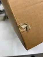 江戸東京の民俗芸能