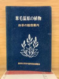 葦毛湿原の植物 四季の観察案内