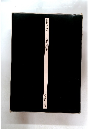 辻村ジュサブロー人形作品集