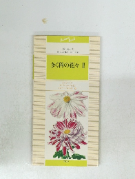 きく科の花々II