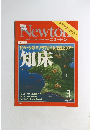 Newton2006年3月号