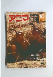アニマ　1980年10月号　　