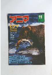 アニマ　11月号