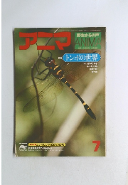 アニマ　7月号
