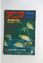 アニマ 海の魚の行動  ７月号