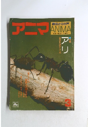 アニマ　３月号