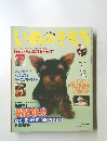 いめのきもち　2003年4月