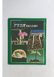科学のアルバム13 アサガオたねからたねまで