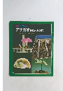 科学のアルバム13 アサガオたねからたねまで