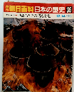 朝日百科日本の歴史36　原始・古代3　火と石と土の語る文化