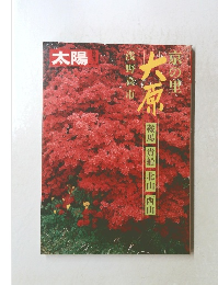 太陽　大原　　NO 236