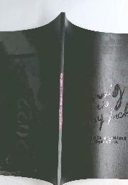 BROADWAY MUSICAL HEDWIG AND THE ANGRY INCH