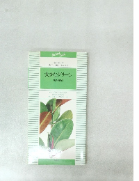 大きなグリーン