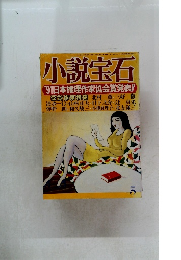 小説宝石　1991年5月号