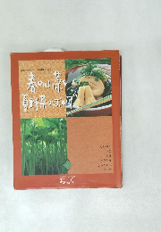 春の山菜と夏野菜のおかず