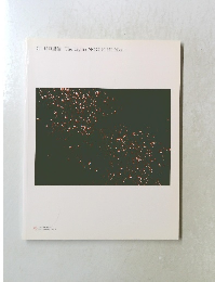 光野口里佳 TheLight: NOGUCHI Rika