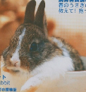 うさぎと 暮らす　2002年4月号