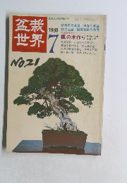 盆栽世界　1980/7