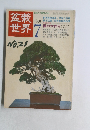 盆栽世界　1980/7