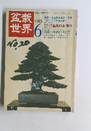 盆栽世界　1980.6