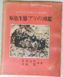 ANTS OF JAPAN IN COLOUR原色生態アリの図鑑