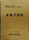 東福寺遺跡　1994年3月