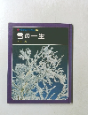 科学のアルバム　48　雪の一生